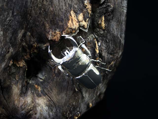 昆虫アート オオクワガタ