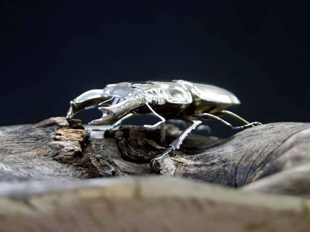 油絵クワガタムシ 油絵クワガタムシ
